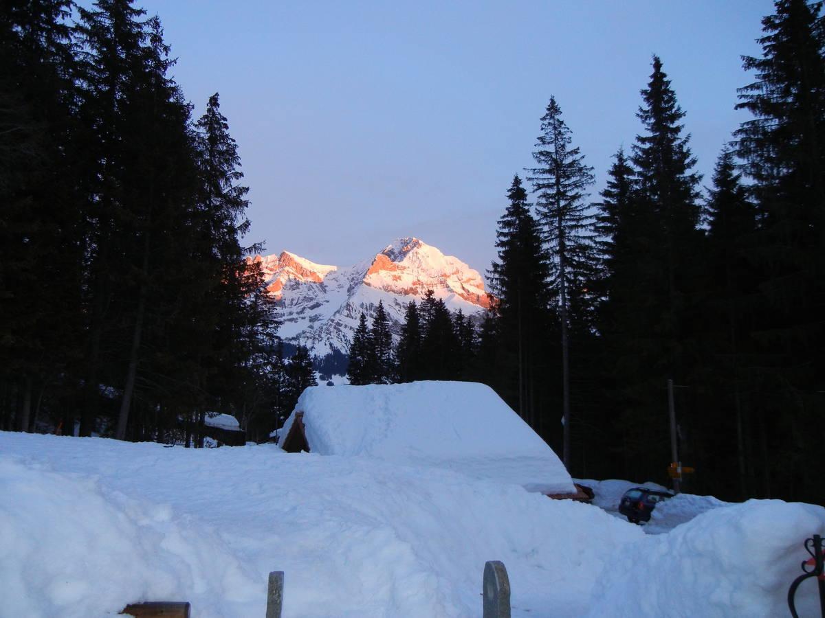 Restaurant Hotel Schermtanne Adelboden Dış mekan fotoğraf